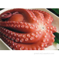 Frozen Baby Octopus Frozen Poulp Squid Supplier